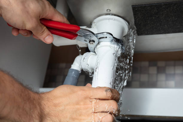 Best Professional water damage repair  in Ashland, CA