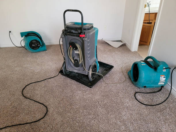 Best Flood restoration services  in Ashland, CA