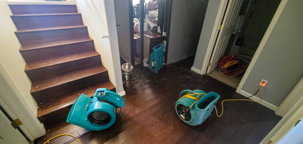 Best Water damage restoration near me  in Ashland, CA