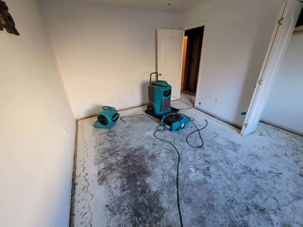 Best Mold removal after water damage  in Ashland, CA