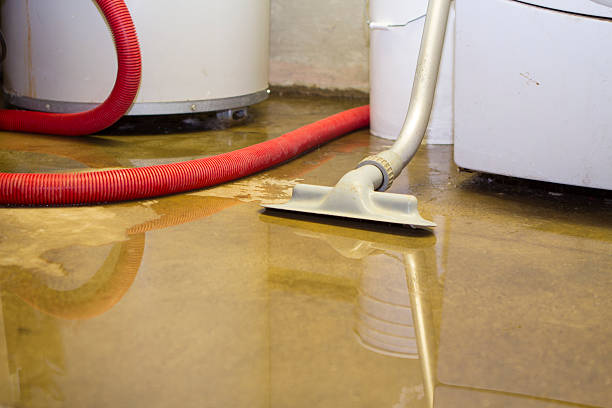 Trusted Ashland, CA Water damage restoration Experts