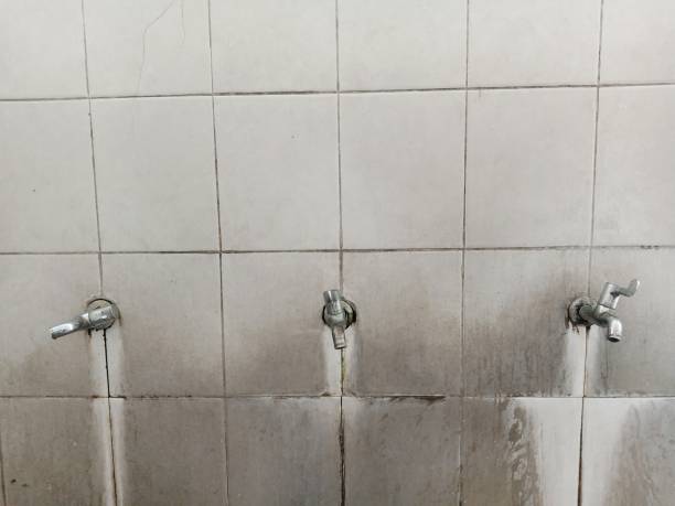 Best Water damage restoration near me  in Ashland, CA
