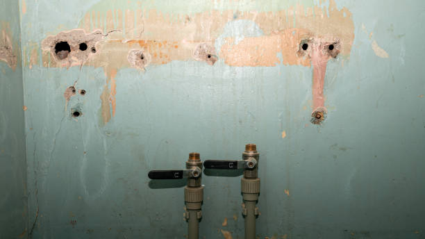Best Water damage restoration mold remediation  in Ashland, CA