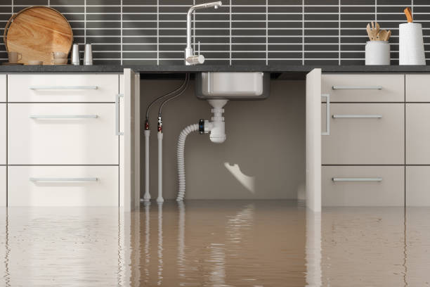 Best Carpet water damage restoration  in Ashland, CA