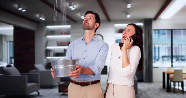 Best Carpet water damage restoration  in Ashland, CA